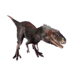 Moros Intrepidus